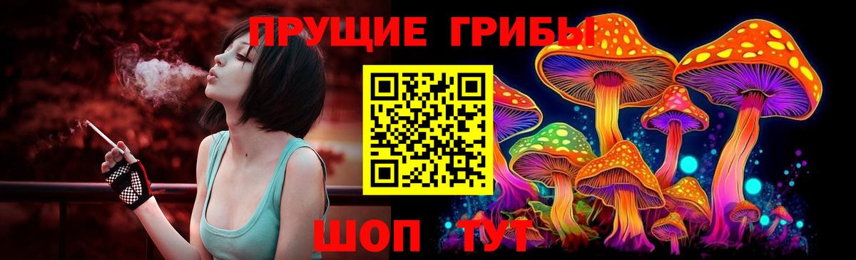 Псилоцибиновые грибы Magic Shrooms  Вход с VPN  Новороссийск 